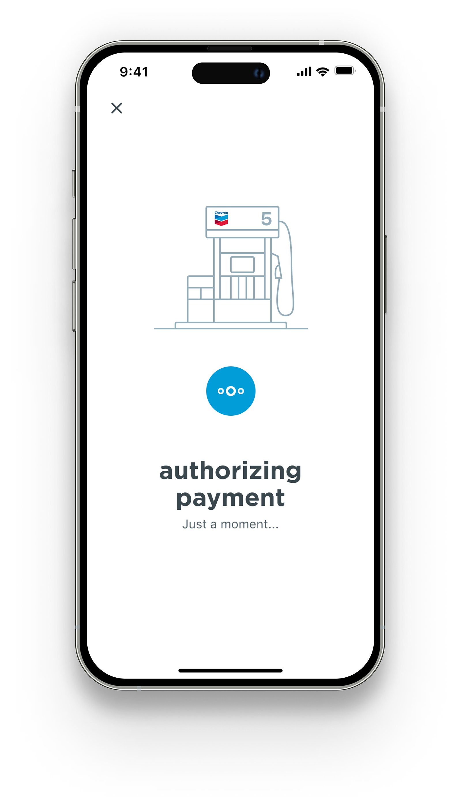 Authorize payment screen